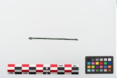 Foto von Bronzeohrlöffel (NHMW-PRAE-024109)